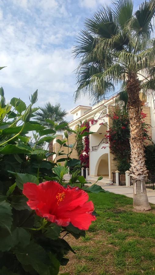 Fantastic 4 Cyprus First Line Beachfront Boghaz Ngoại thất bức ảnh