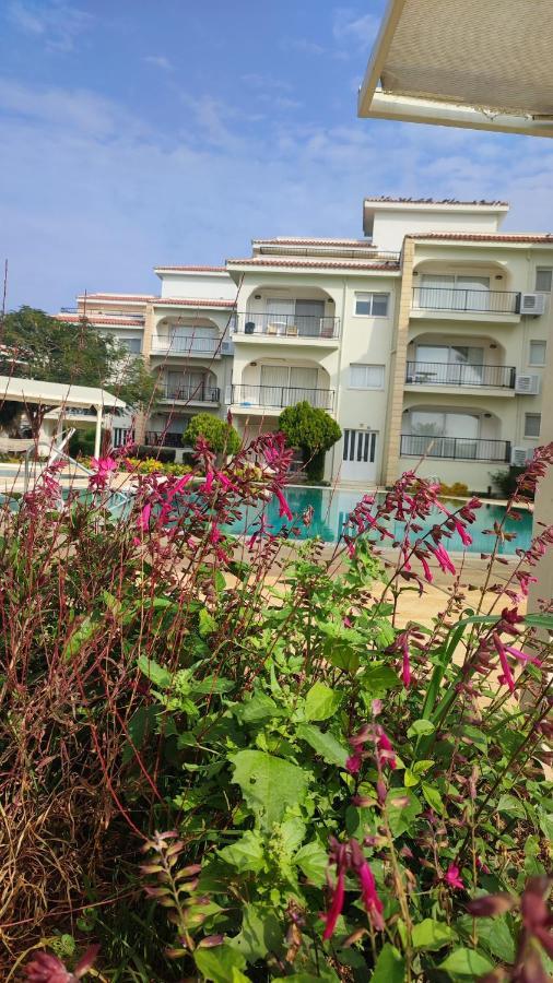 Fantastic 4 Cyprus First Line Beachfront Boghaz Ngoại thất bức ảnh