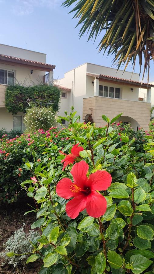 Fantastic 4 Cyprus First Line Beachfront Boghaz Ngoại thất bức ảnh