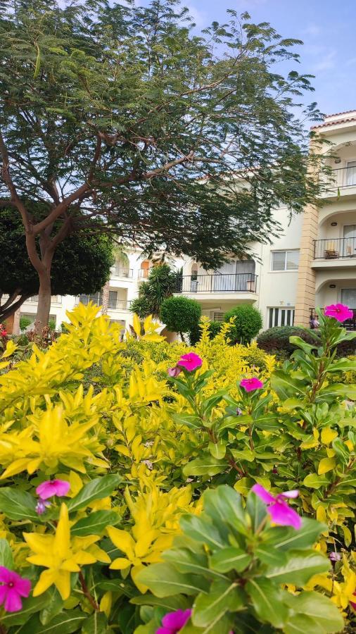 Fantastic 4 Cyprus First Line Beachfront Boghaz Ngoại thất bức ảnh